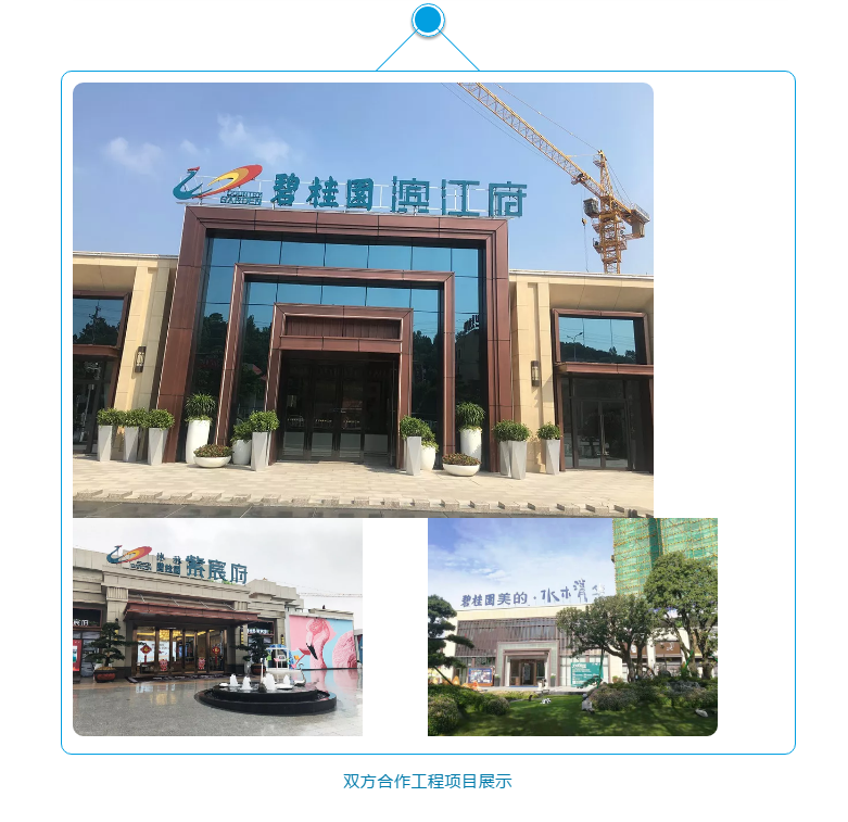 abpay爱博钱包官网 - 极致清静